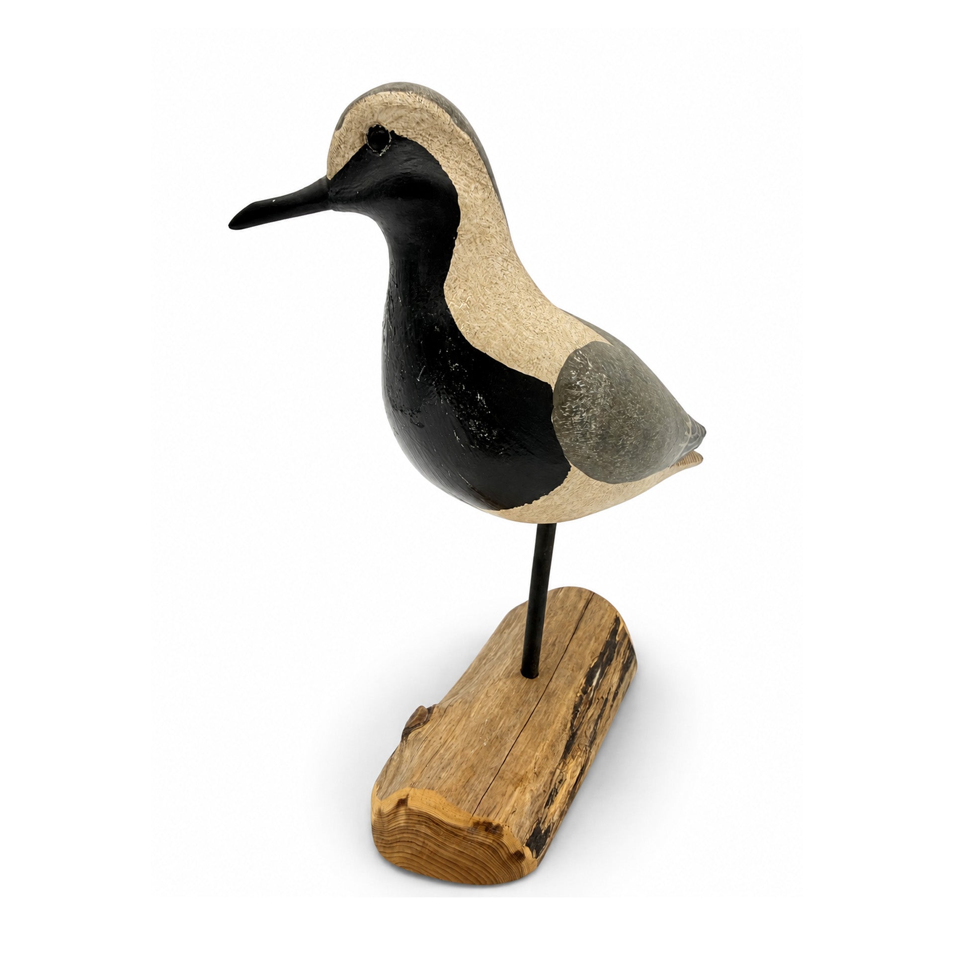 Black-Brested Plover Decoy - Shourds Hunting & Wildlife Decoys Atlantic Rancher Company