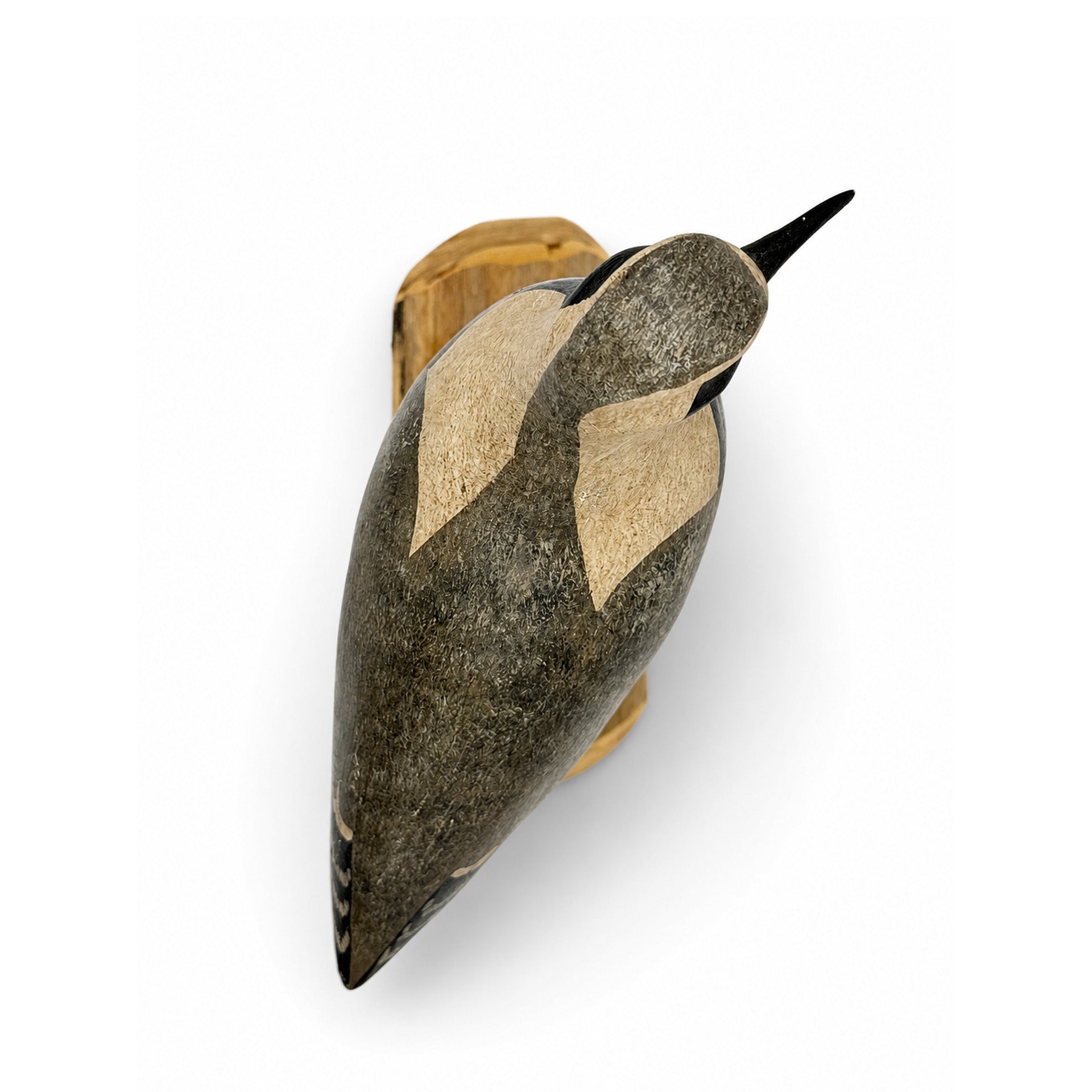 Black-Brested Plover Decoy - Shourds Hunting & Wildlife Decoys Atlantic Rancher Company