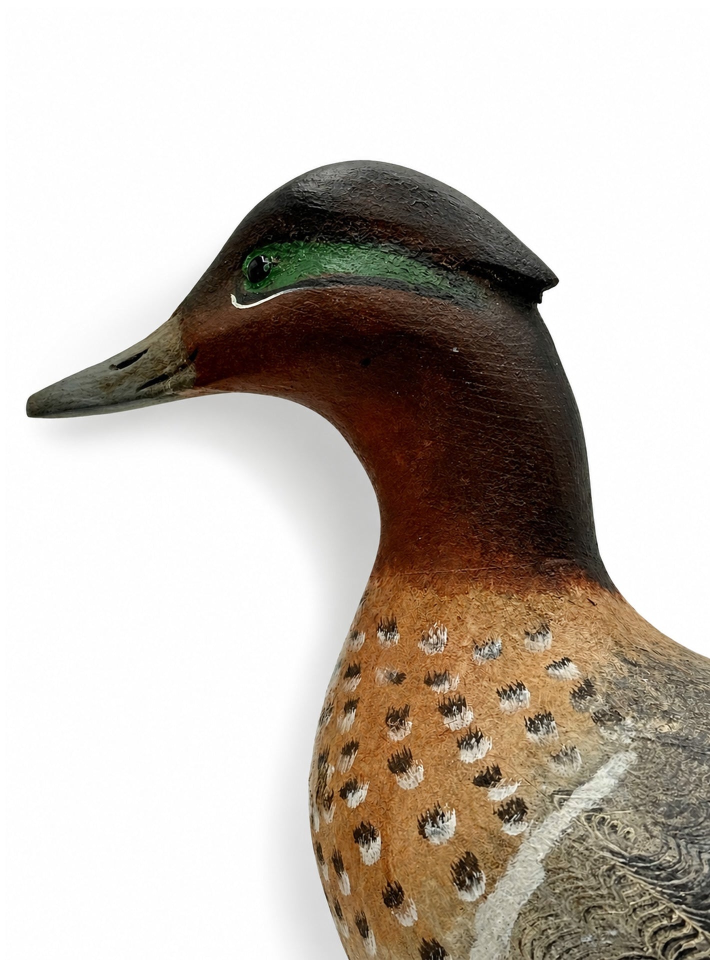 Green Wing Teal Drake Hunting & Wildlife Decoys Atlantic Rancher Company