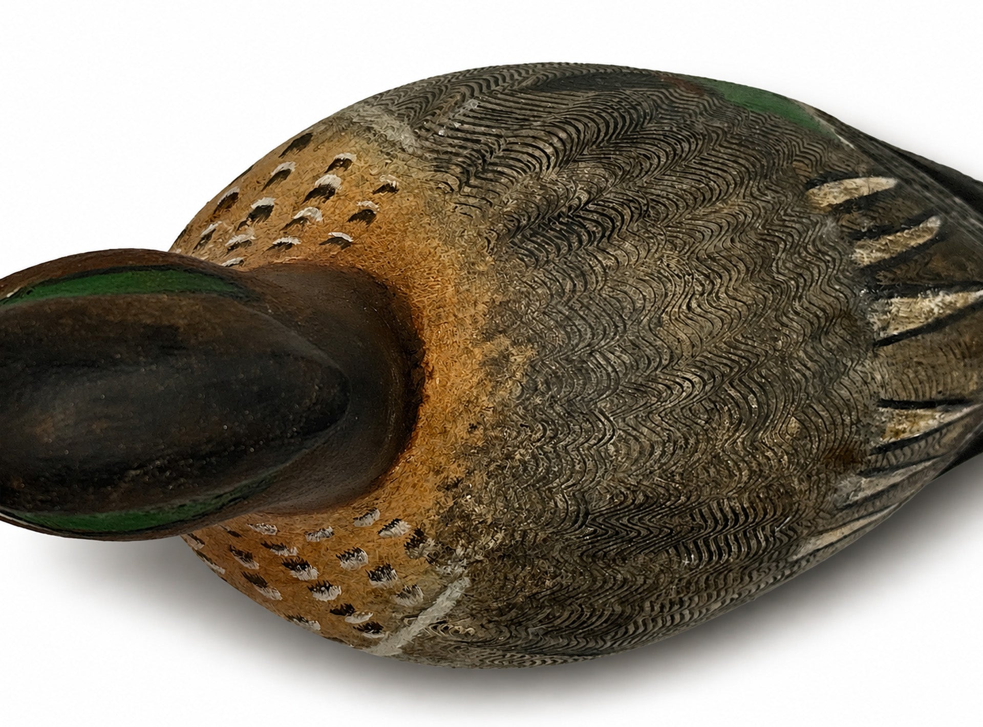 Green Wing Teal Drake Hunting & Wildlife Decoys Atlantic Rancher Company