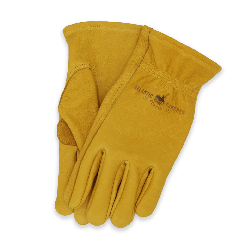 Deerskin Work Gloves - unlined Glove Atlantic Rancher Company M Natural
