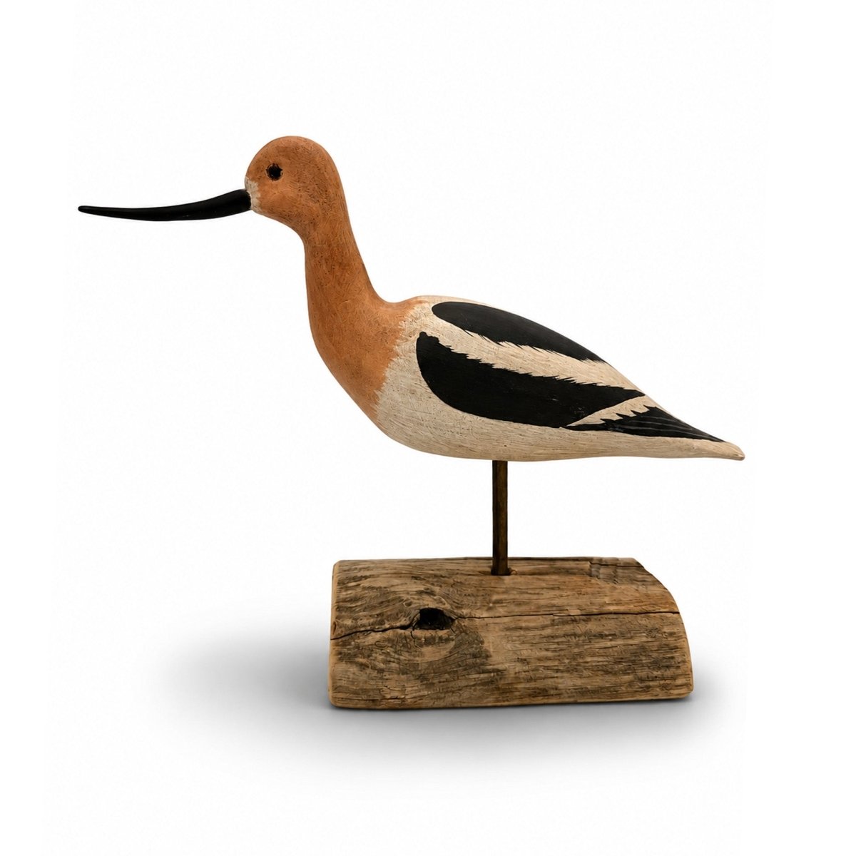Avocet Decoy Hunting & Wildlife Decoys Atlantic Rancher Company