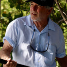 Bimini Short Sleeve Cotton Shirt Bimini Shirts Atlantic Rancher Company Cloud Blu2 S