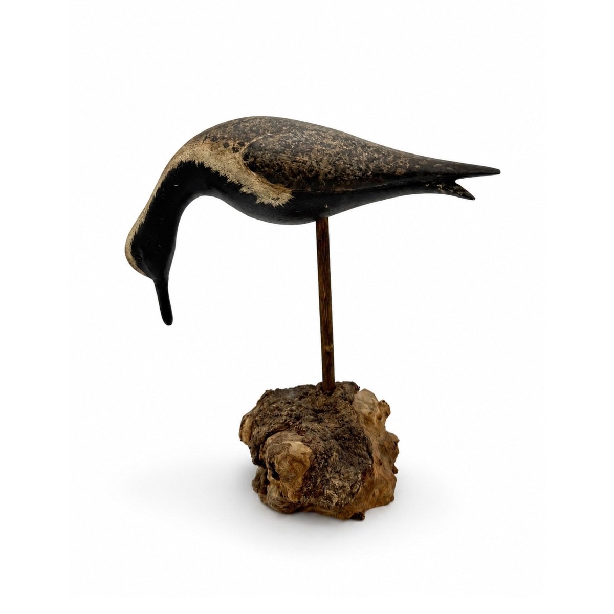 Black-Bellied Plover Decoy Hunting & Wildlife Decoys Atlantic Rancher Company