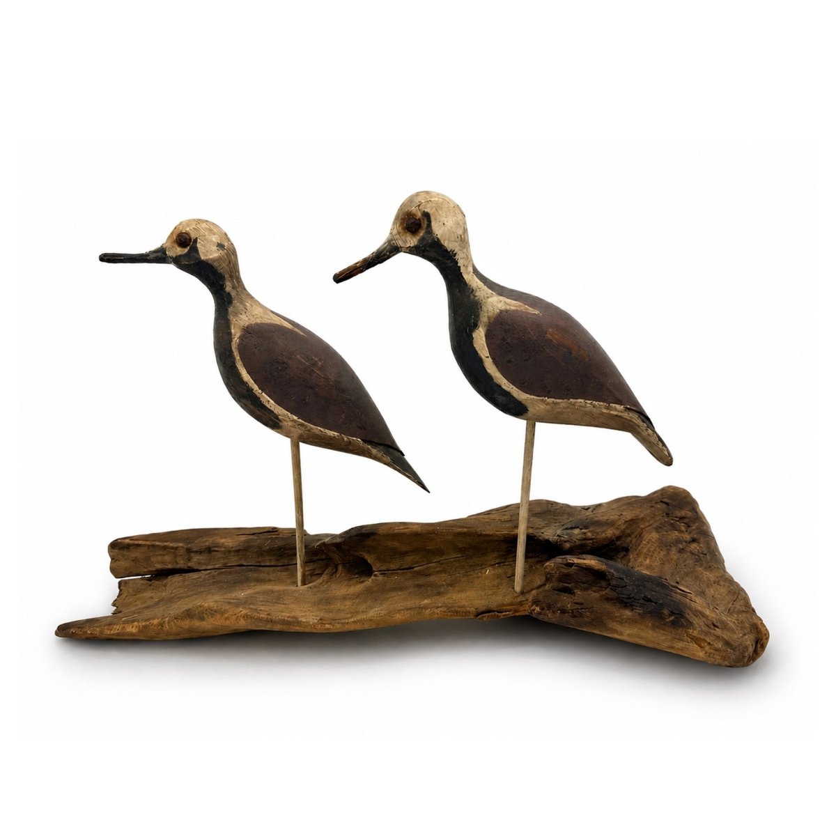 Black-Bellied Plover Decoys Hunting & Wildlife Decoys Atlantic Rancher Company