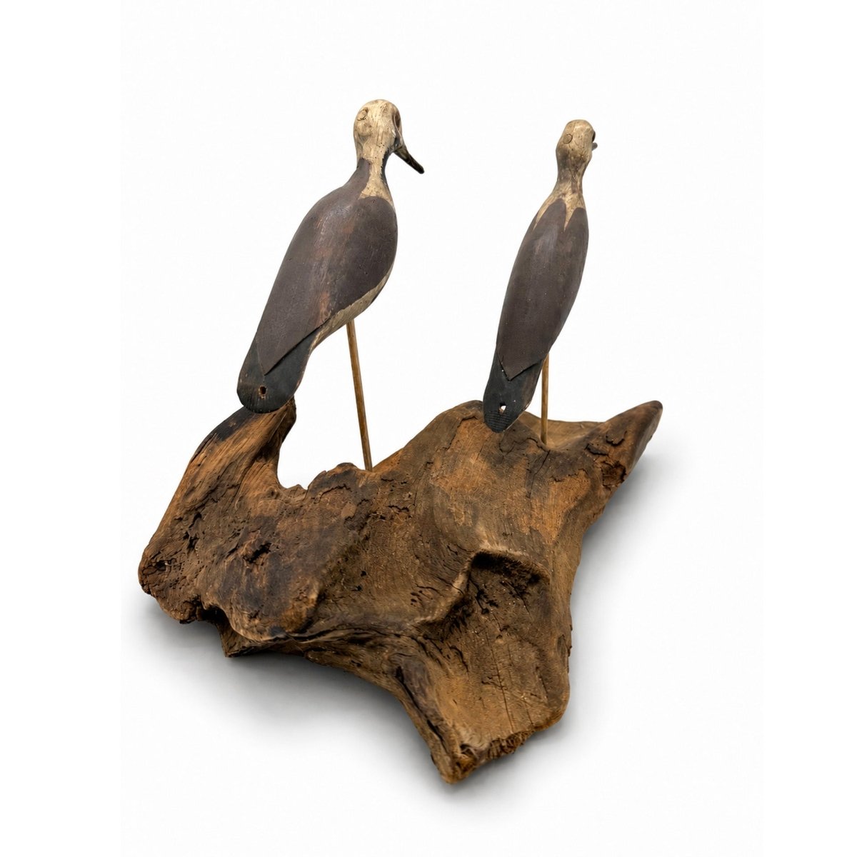 Black-Bellied Plover Decoys Hunting & Wildlife Decoys Atlantic Rancher Company
