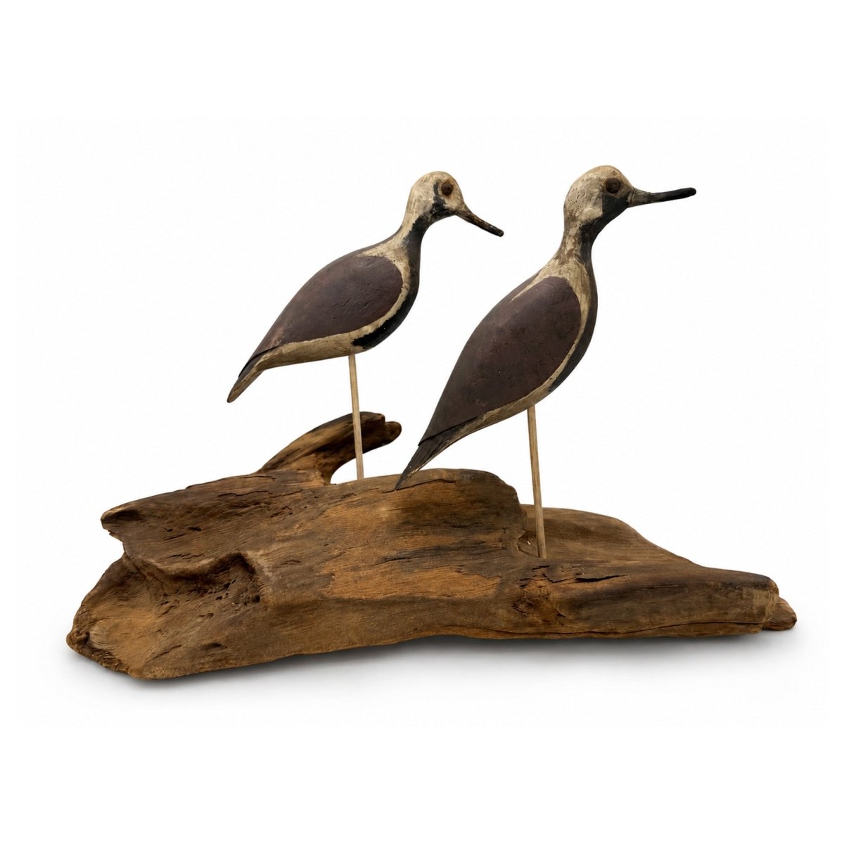 Black-Bellied Plover Decoys Hunting & Wildlife Decoys Atlantic Rancher Company