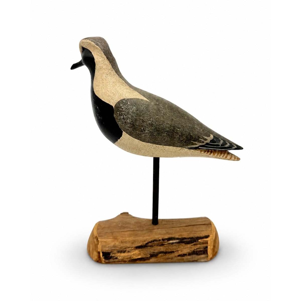 Black-Brested Plover Decoy - Shourds Hunting & Wildlife Decoys Atlantic Rancher Company