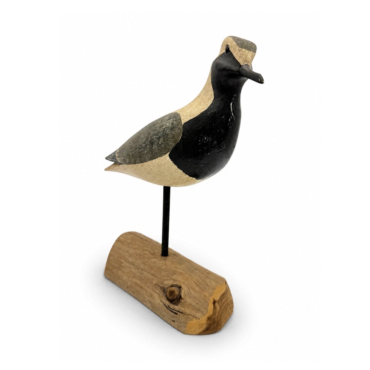 Black-Brested Plover Decoy - Shourds Hunting & Wildlife Decoys Atlantic Rancher Company