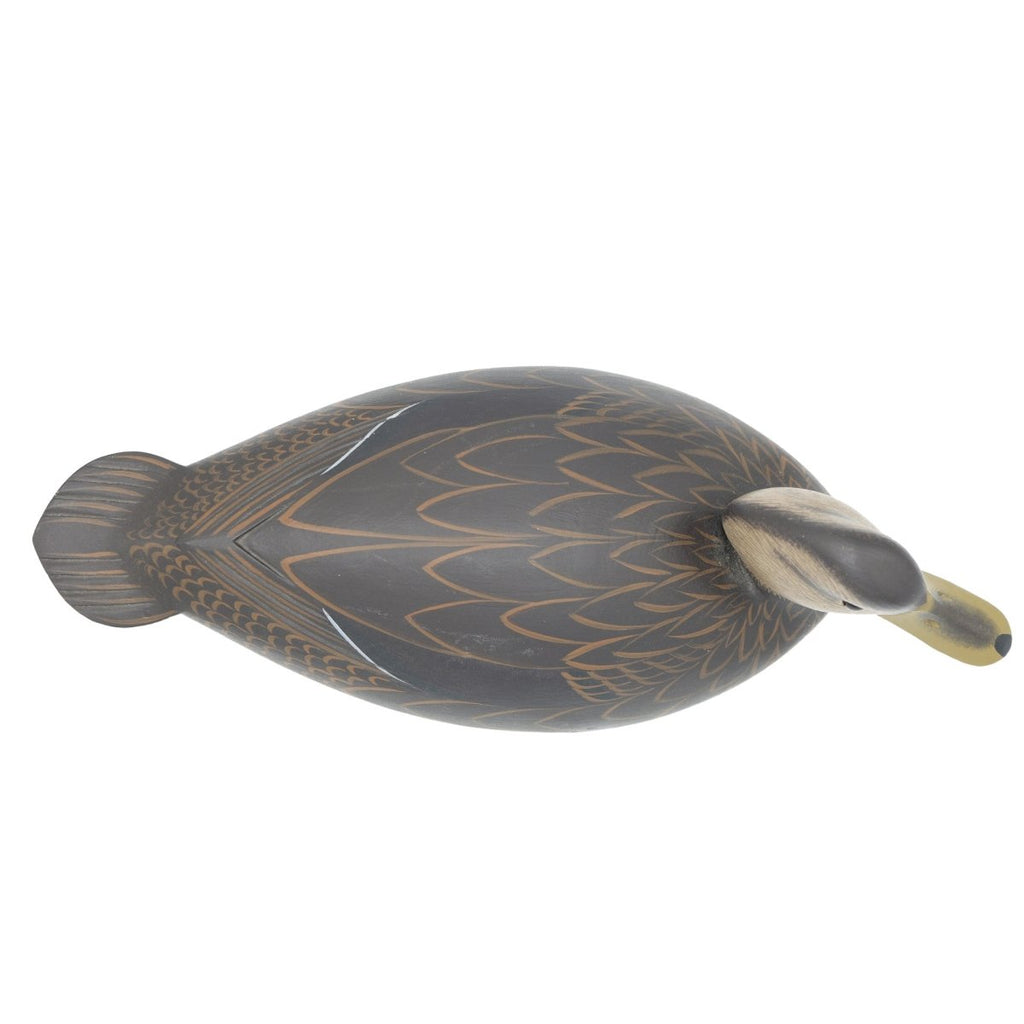 Black Duck Decoy Hunting & Wildlife Decoys Atlantic Rancher Company