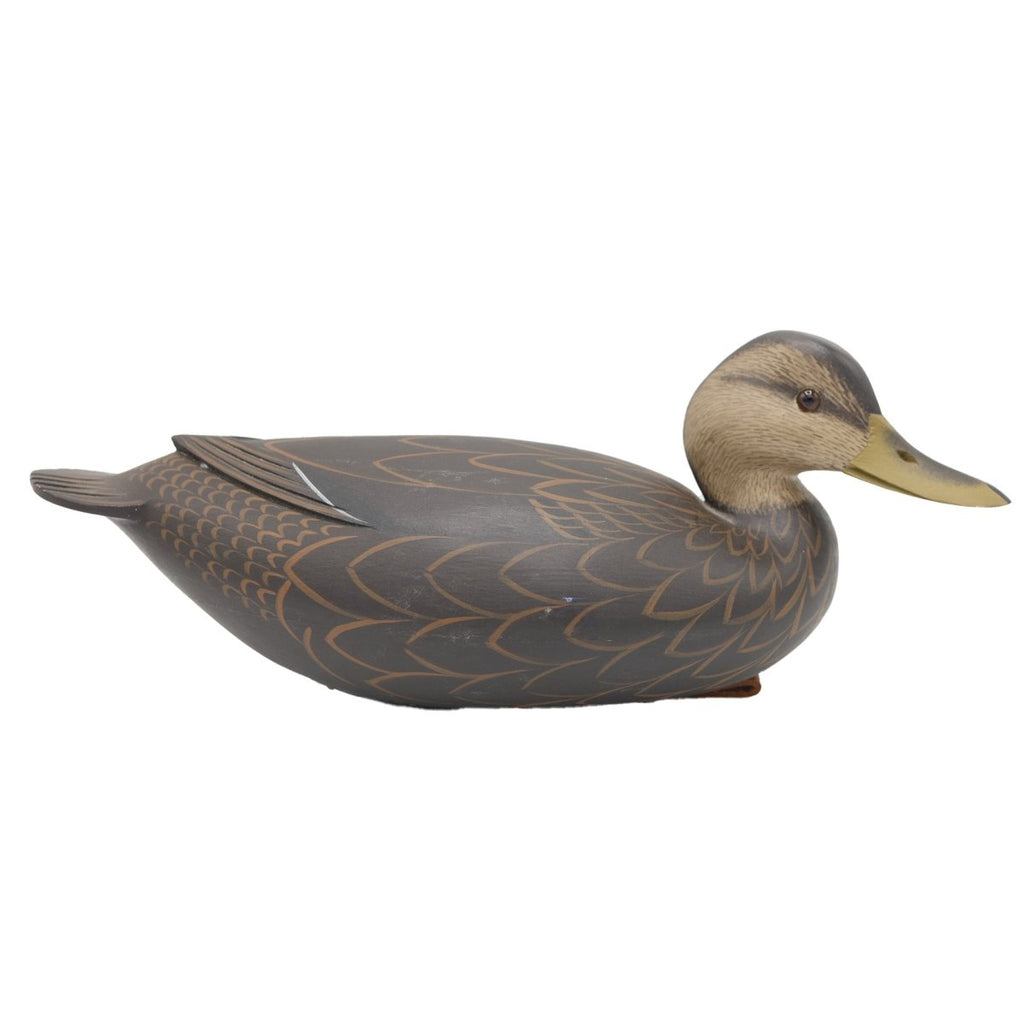 Black Duck Decoy - Atlantic Rancher CompanyBlack Duck DecoyHunting & Wildlife DecoysAtlantic Rancher Companydd9621Black Duck Decoy Hunting & Wildlife Decoys Atlantic Rancher Company