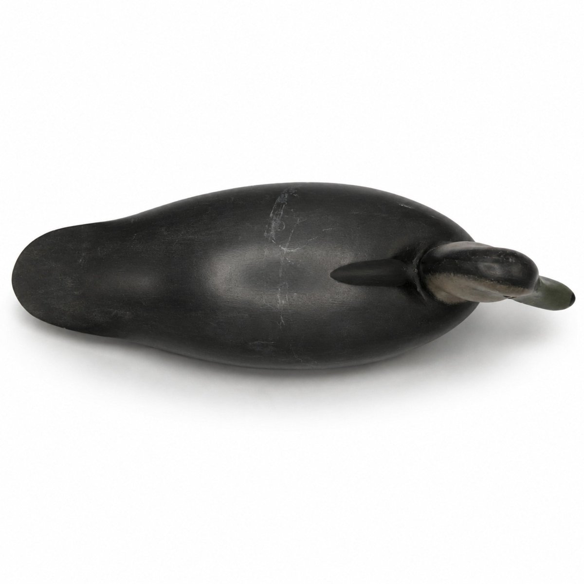 Black Duck Decoy Hunting & Wildlife Decoys Atlantic Rancher Company