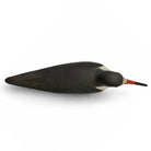 Black Skimmer Carving Hunting & Wildlife Decoys Atlantic Rancher Company