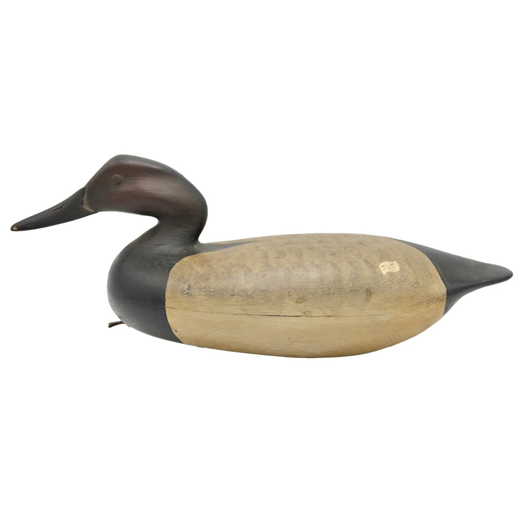 Canvasback Drake Duck Decoy Hunting & Wildlife Decoys Atlantic Rancher Company
