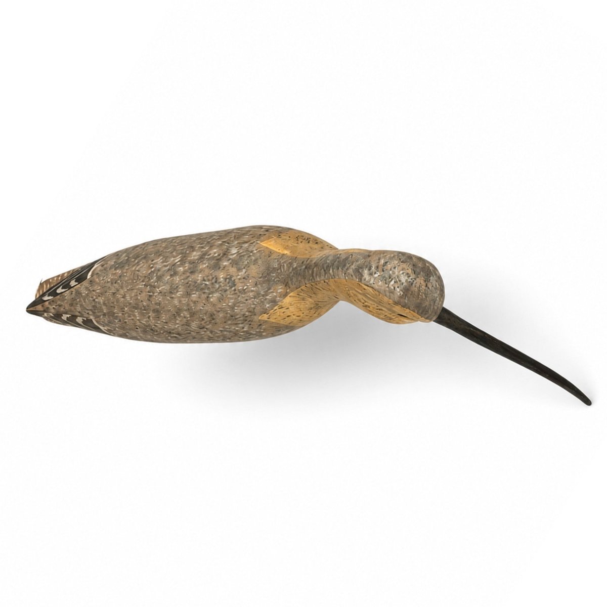 Curlew Decoy - Shourds Hunting & Wildlife Decoys Atlantic Rancher Company