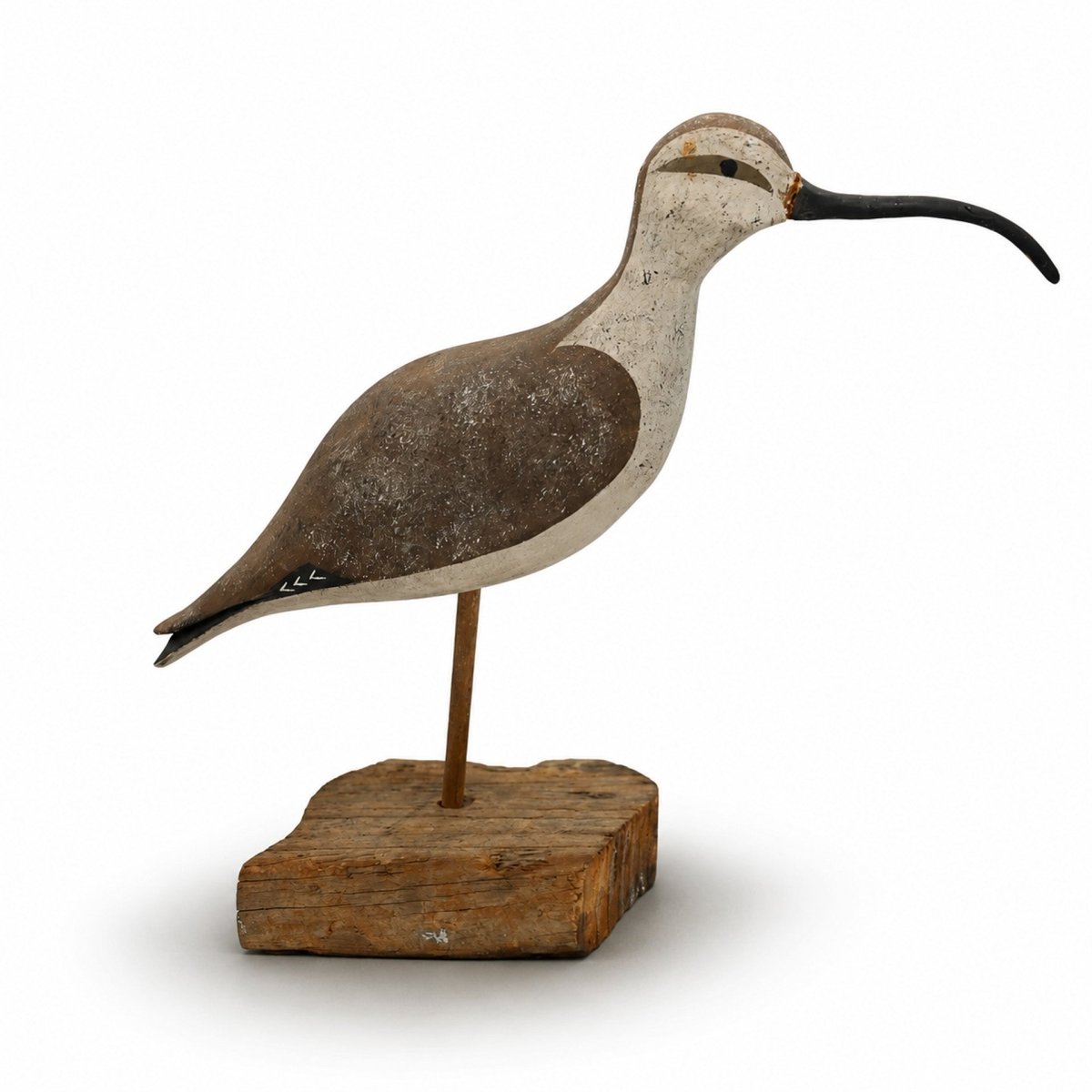 Curlew Decoy Hunting & Wildlife Decoys Atlantic Rancher Company