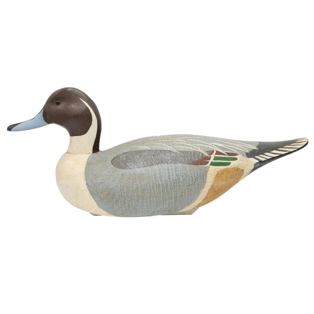 Drake Pintail Duck Decoy Hunting & Wildlife Decoys Atlantic Rancher Company