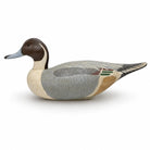 Drake Pintail Duck Decoy Hunting & Wildlife Decoys Atlantic Rancher Company
