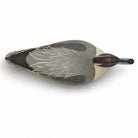 Drake Pintail Duck Decoy Hunting & Wildlife Decoys Atlantic Rancher Company