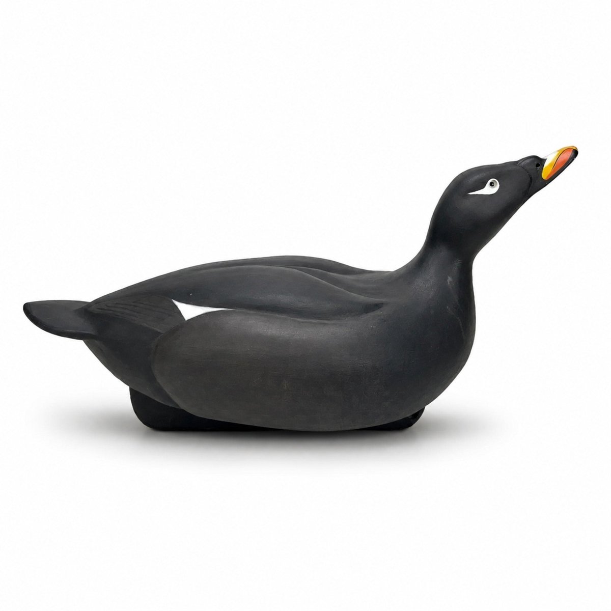 Duck Decoy White Winged Scoter Hunting & Wildlife Decoys Atlantic Rancher Company