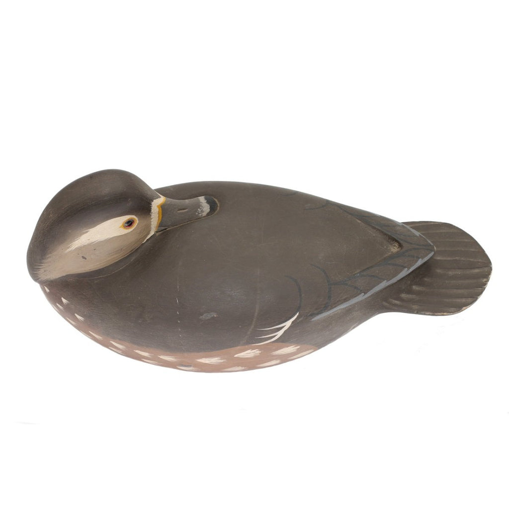 Duck Decoy, Wood Duck Hen Hunting & Wildlife Decoys Atlantic Rancher Company