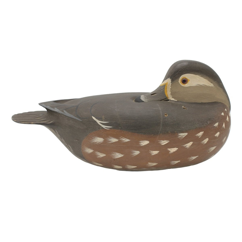Duck Decoy, Wood Duck Hen - Atlantic Rancher CompanyDuck Decoy, Wood Duck HenHunting & Wildlife DecoysAtlantic Rancher CompanyDuck Decoy, Wood Duck Hen Hunting & Wildlife Decoys Atlantic Rancher Company
