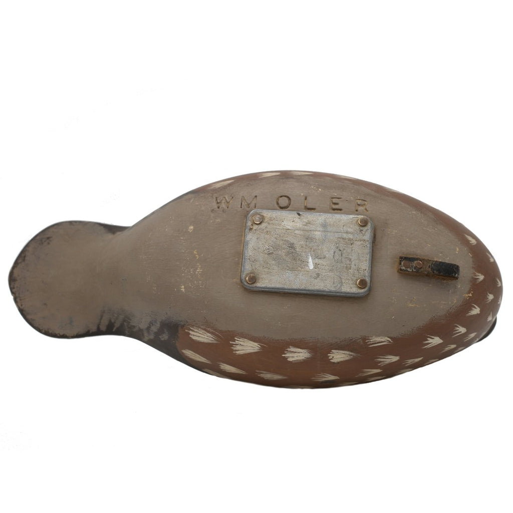 Duck Decoy, Wood Duck Hen Hunting & Wildlife Decoys Atlantic Rancher Company