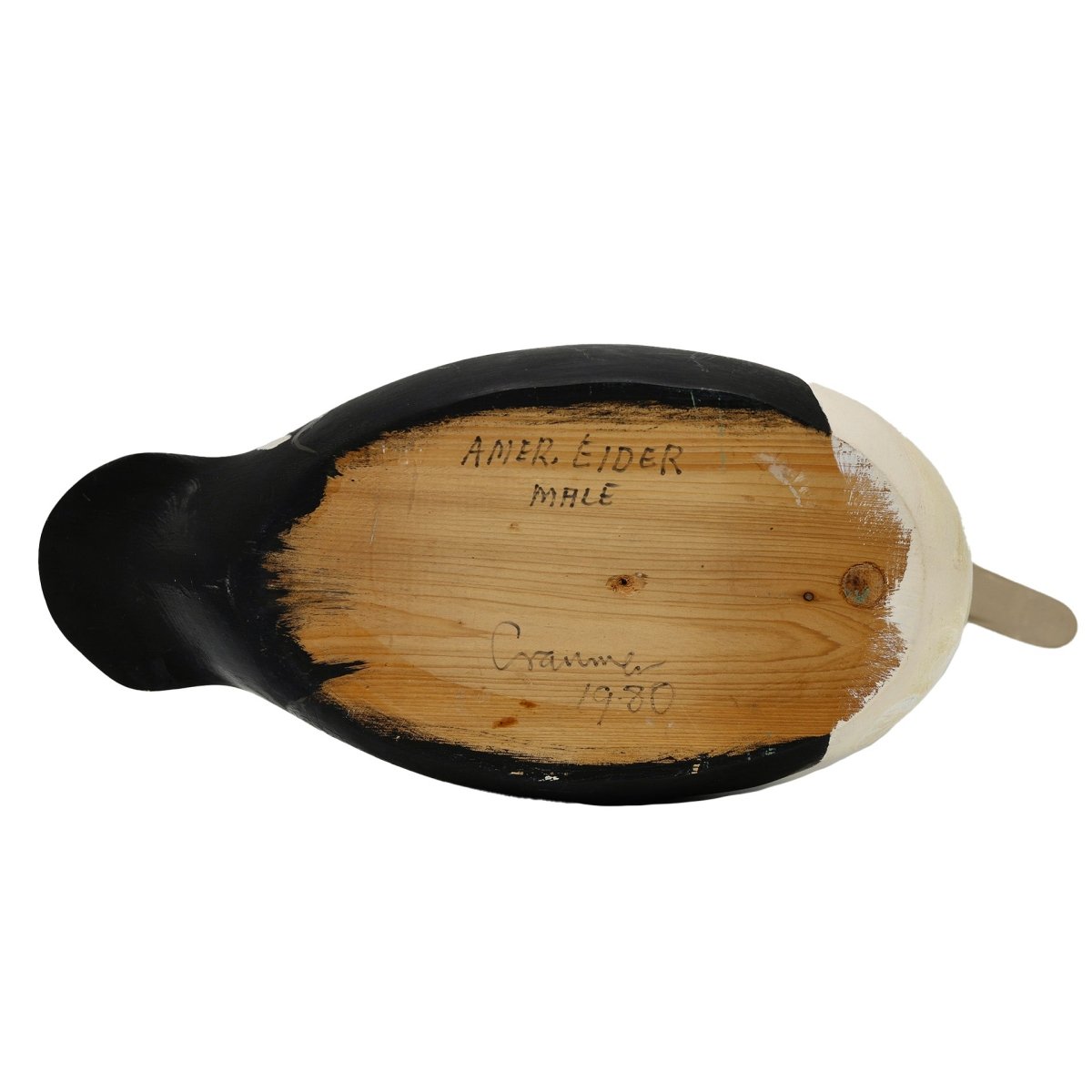 Eider Duck Decoy Hunting & Wildlife Decoys Atlantic Rancher Company