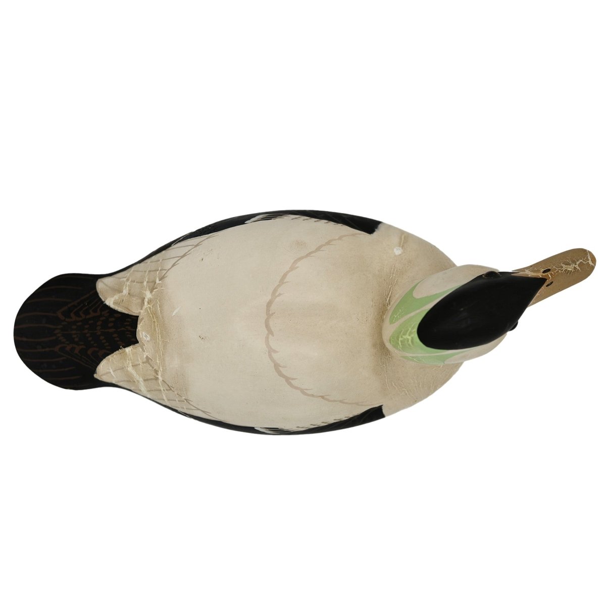Eider Duck Decoy Hunting & Wildlife Decoys Atlantic Rancher Company