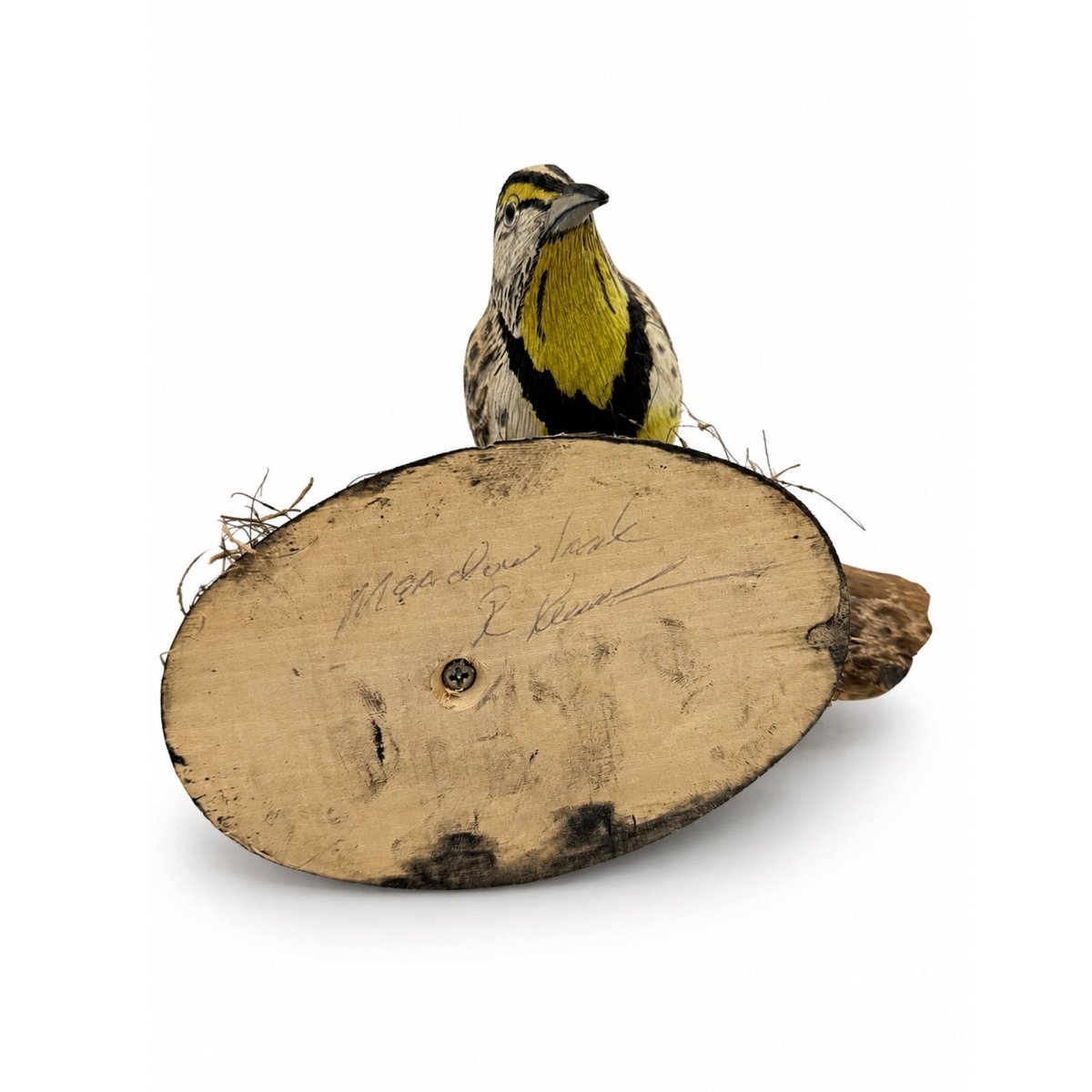Fine Meadow Lark Feeding Hunting & Wildlife Decoys Atlantic Rancher Company