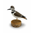 Killdeer Carving- Harry V Shourds Hunting & Wildlife Decoys Atlantic Rancher Company