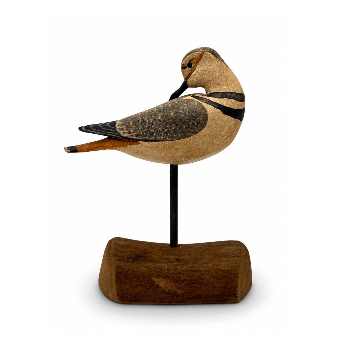 Killdeer Decoy - HV Shourds Hunting & Wildlife Decoys Atlantic Rancher Company