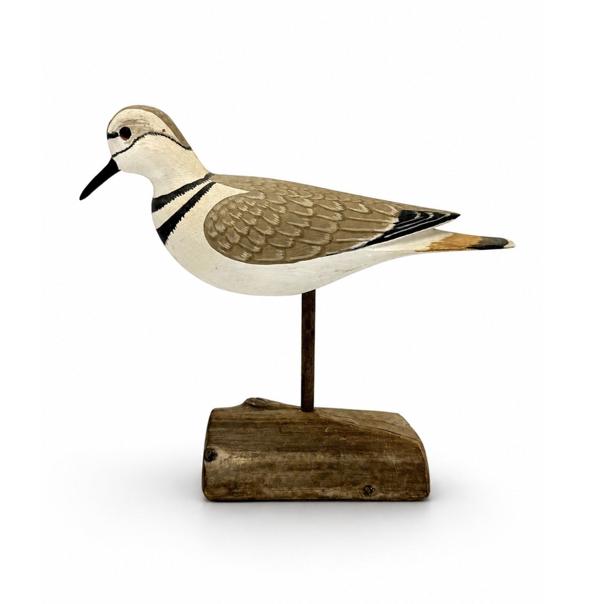 Killdeer Decoy Hunting & Wildlife Decoys Atlantic Rancher Company