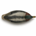 Mallard Drake Duck Decoy Hunting & Wildlife Decoys Atlantic Rancher Company