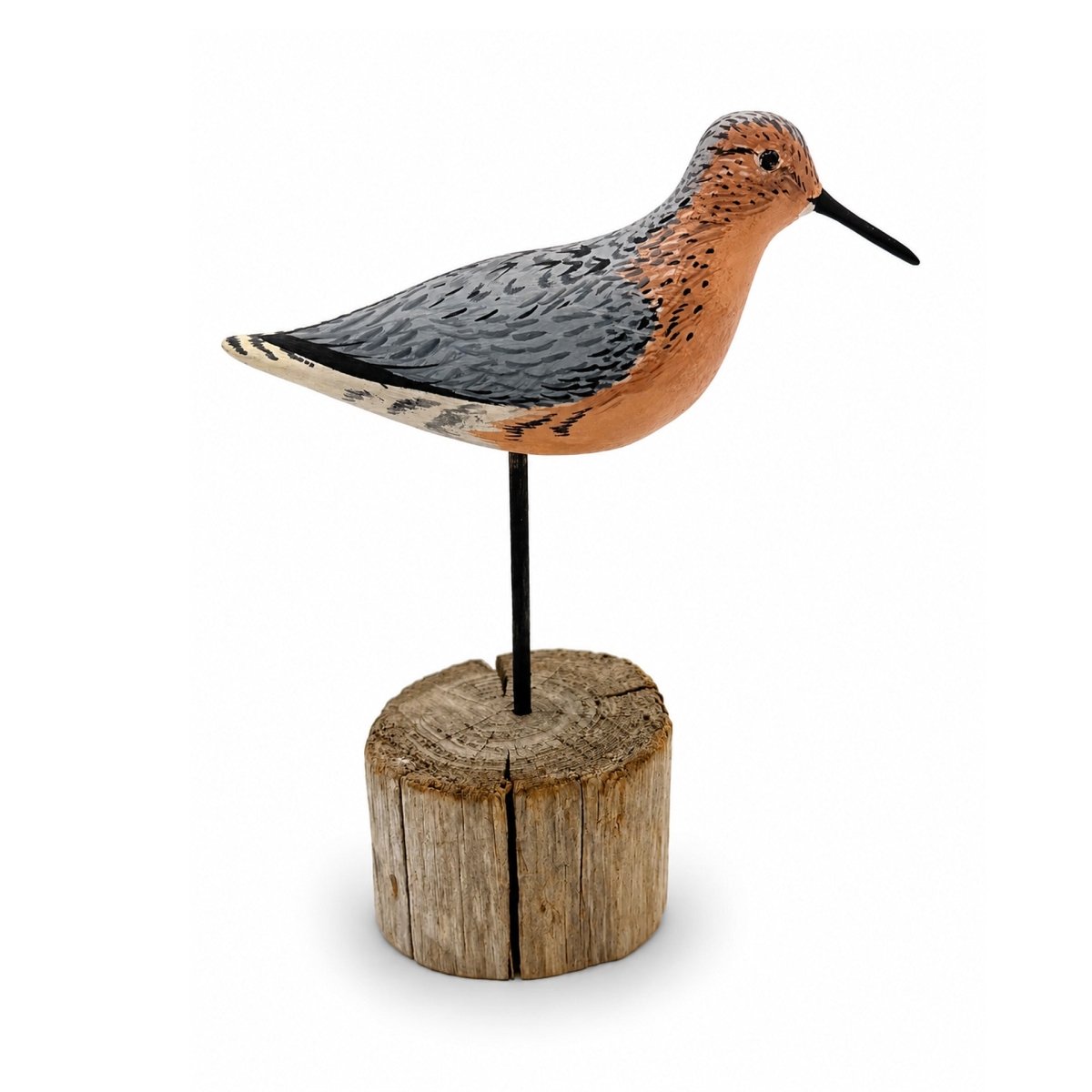 Miniature Red Knot Hunting & Wildlife Decoys Atlantic Rancher Company