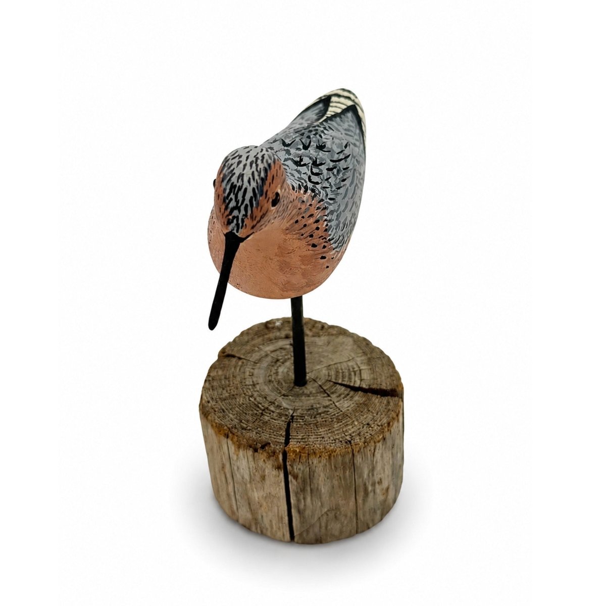 Miniature Red Knot Hunting & Wildlife Decoys Atlantic Rancher Company