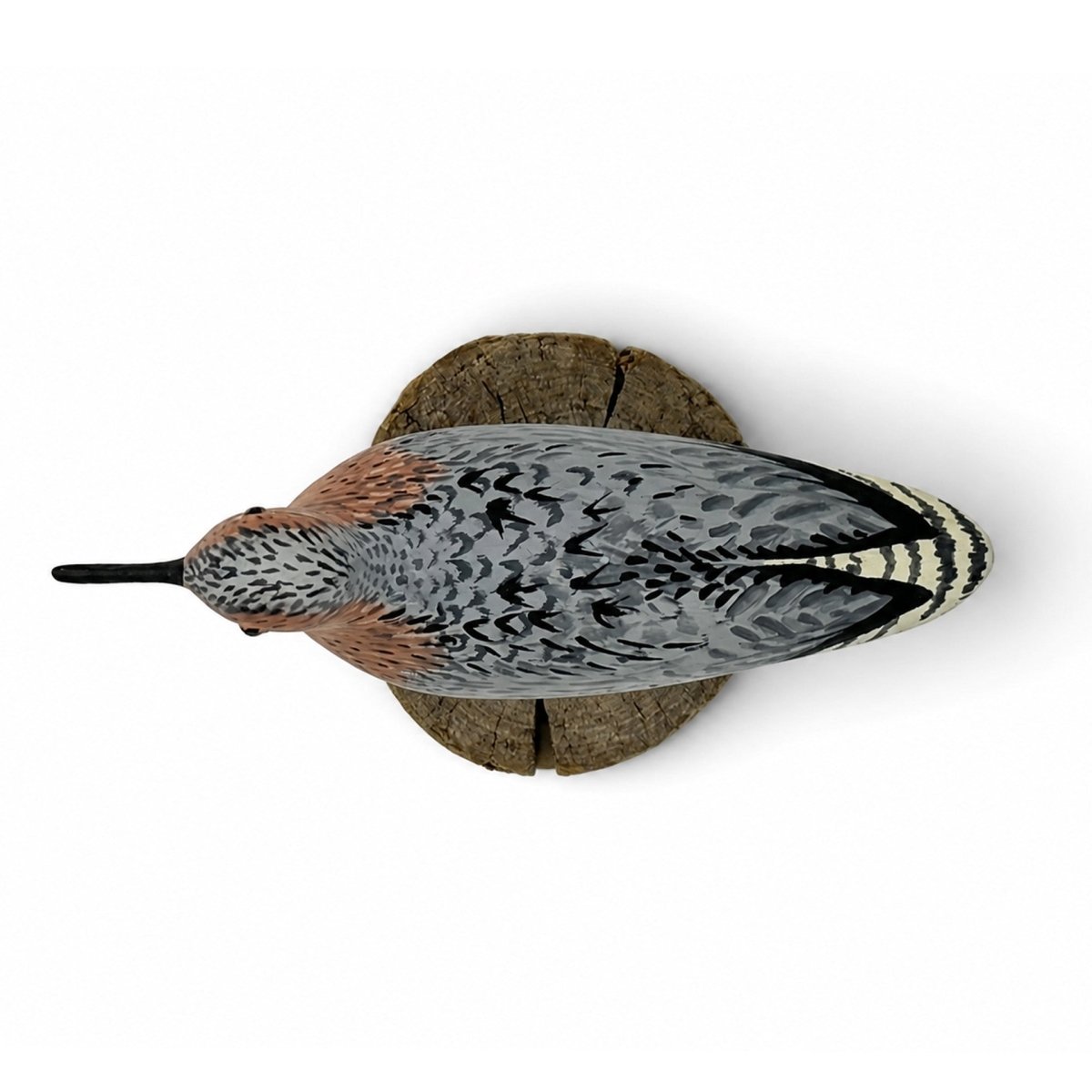Miniature Red Knot Hunting & Wildlife Decoys Atlantic Rancher Company