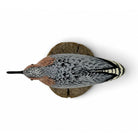 Miniature Red Knot Hunting & Wildlife Decoys Atlantic Rancher Company