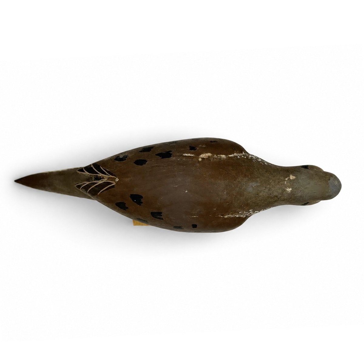 Mourning Dove Decoy - J Wood Hunting & Wildlife Decoys Atlantic Rancher Company