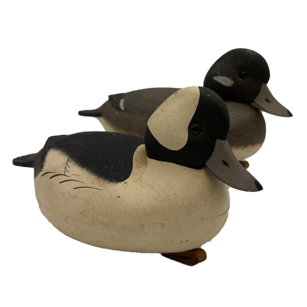 Pair of Bufflehead Duck Decoys Hunting & Wildlife Decoys Atlantic Rancher Company
