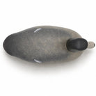 Pair of Bufflehead Duck Decoys Hunting & Wildlife Decoys Atlantic Rancher Company