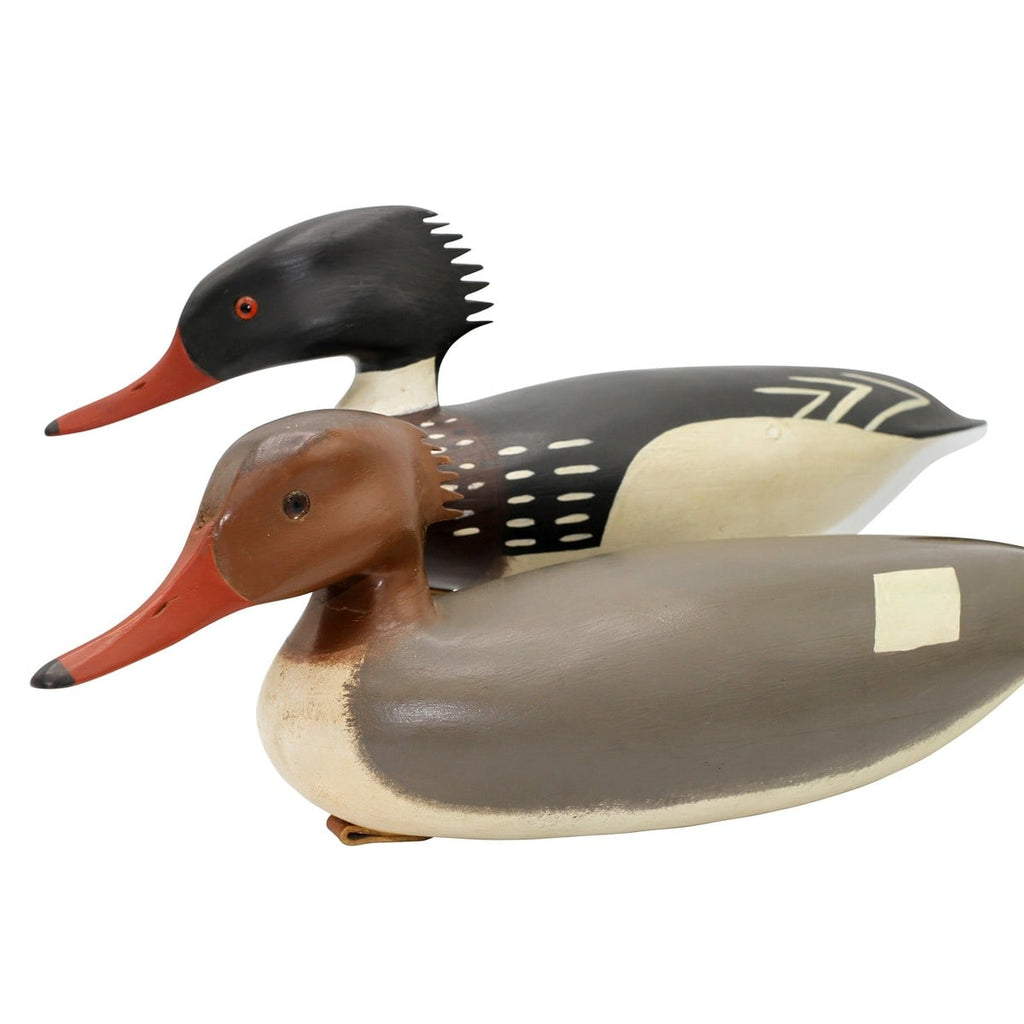 Pair of Red - breasted Merganser Decoys - Atlantic Rancher CompanyPair of Red - breasted Merganser DecoysHunting & Wildlife DecoysAtlantic Rancher CompanyPair of Red - breasted Merganser Decoys Hunting & Wildlife Decoys Atlantic Rancher Company