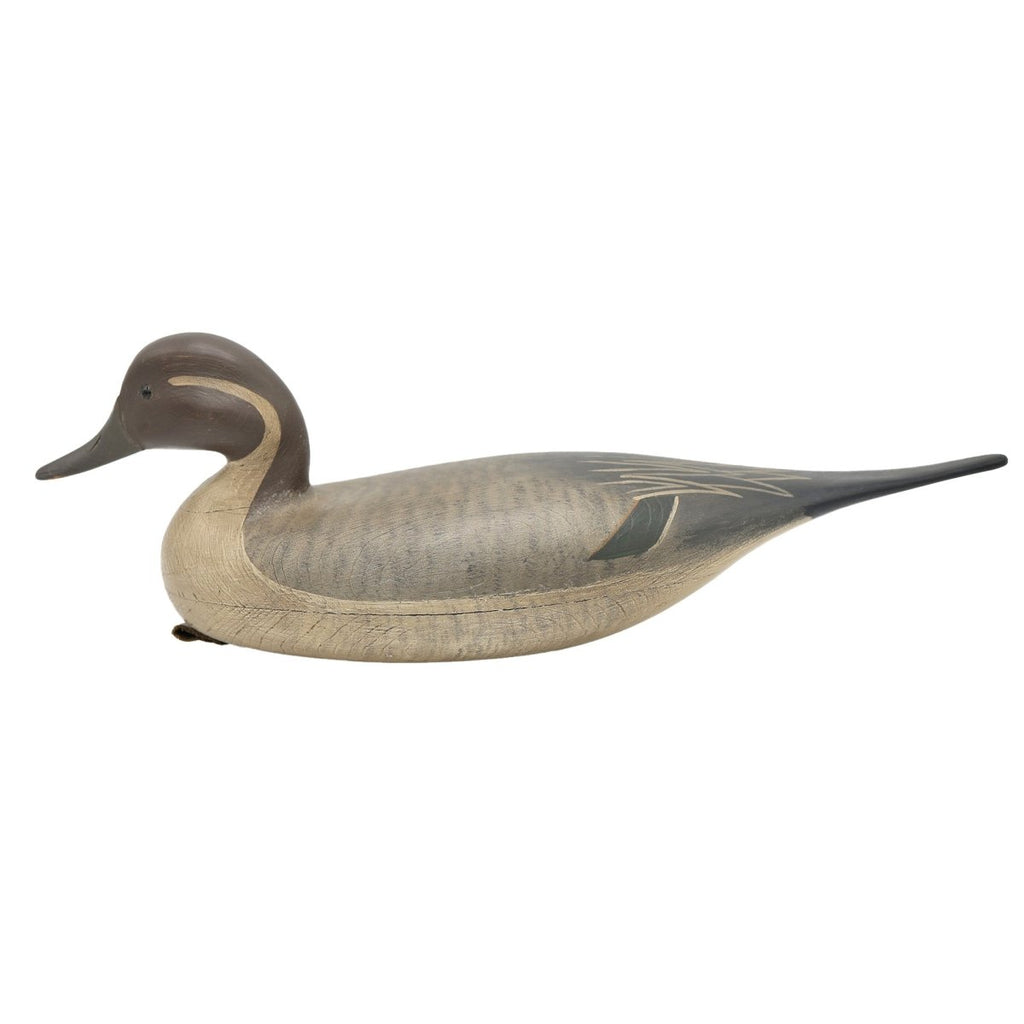 Pintail Drake Duck Decoy Hunting & Wildlife Decoys Atlantic Rancher Company