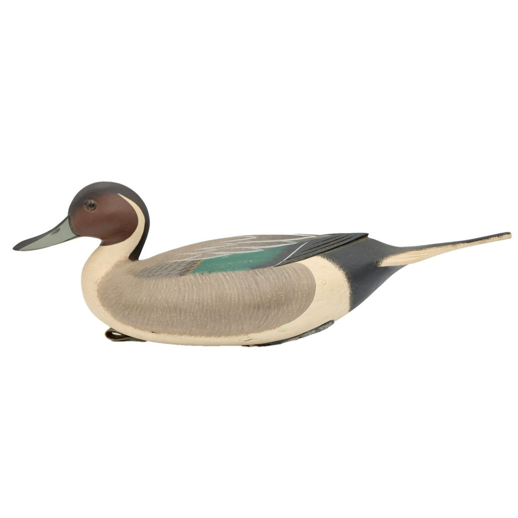 Pintail Drake Duck Decoy - Atlantic Rancher CompanyPintail Drake Duck DecoyHunting & Wildlife DecoysAtlantic Rancher Companydd9567Pintail Drake Duck Decoy Hunting & Wildlife Decoys Atlantic Rancher Company