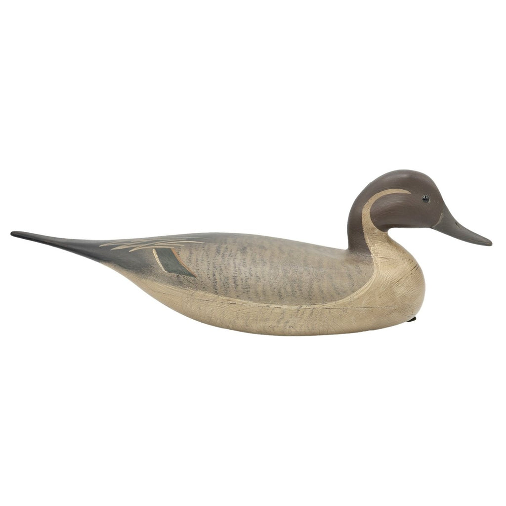 Pintail Drake Duck Decoy Hunting & Wildlife Decoys Atlantic Rancher Company