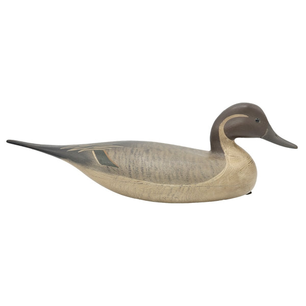 デコイ 鴨 水鳥 尾長鴨 Pintail Drakeのデコイ Pintail Drake Duck Decoy