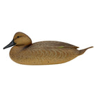Pintail Duck Decoys, Pair Hunting & Wildlife Decoys Atlantic Rancher Company