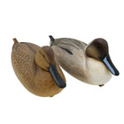 Pintail Duck Decoys, Pair Hunting & Wildlife Decoys Atlantic Rancher Company