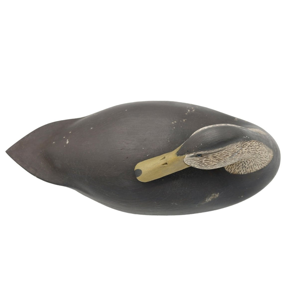 Preening Black Duck Decoy Hunting & Wildlife Decoys Atlantic Rancher Company