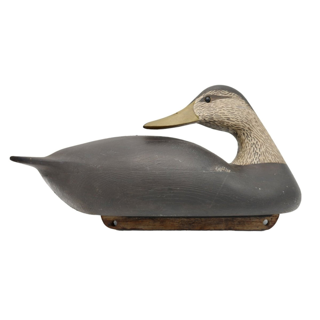 Preening Black Duck Decoy - Atlantic Rancher CompanyPreening Black Duck DecoyHunting & Wildlife DecoysAtlantic Rancher Companydd9525Preening Black Duck Decoy Hunting & Wildlife Decoys Atlantic Rancher Company